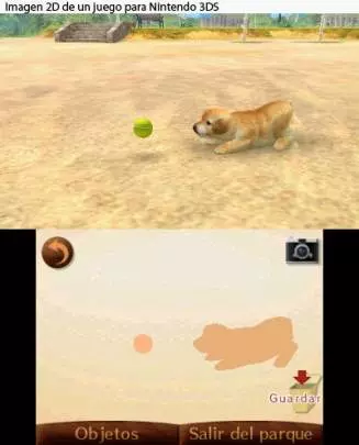 Nintendogs + Cats