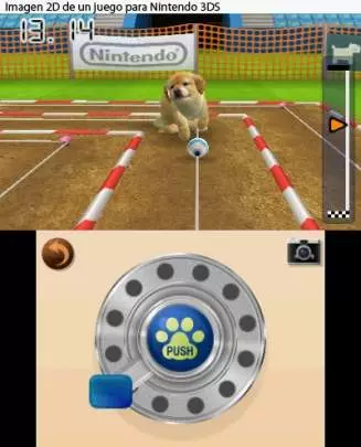 Nintendogs + Cats