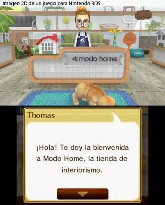 Nintendogs + Cats