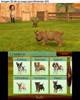 Nintendogs + Cats