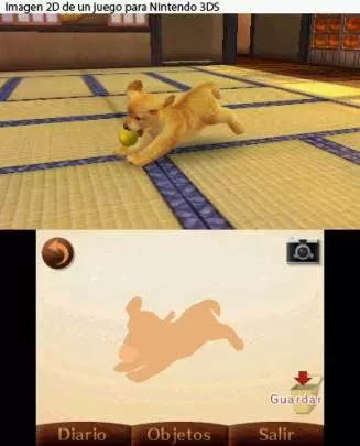 Nintendogs + Cats