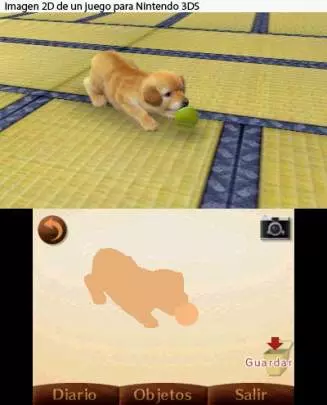 Nintendogs + Cats