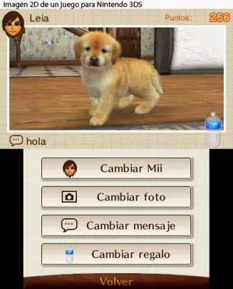 Nintendogs + Cats