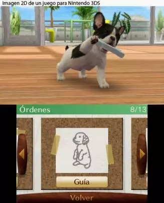 Nintendogs + Cats