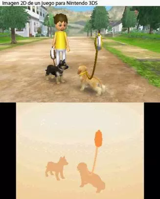 Nintendogs + Cats