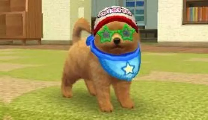 Nintendogs + Cats