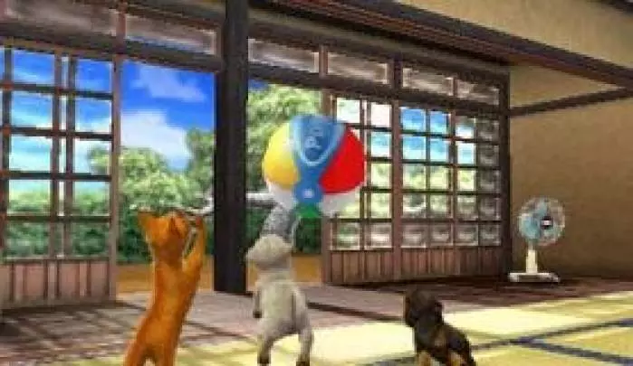 Nintendogs + Cats - 3DS