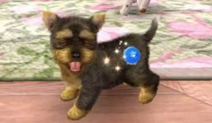 Nintendogs + Cats
