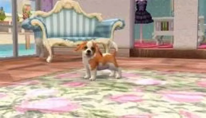 Nintendogs + Cats
