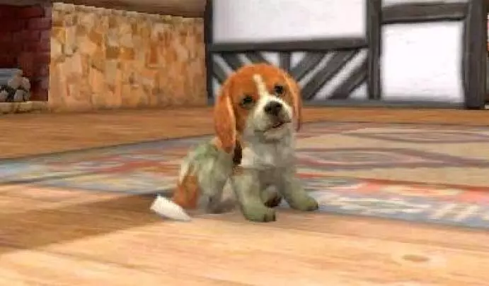 Nintendogs + Cats