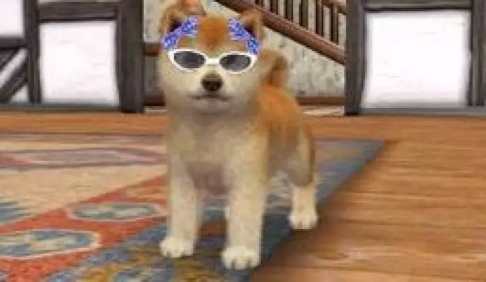 Nintendogs + Cats - 3DS