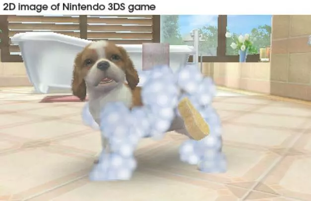 Nintendogs + Cats