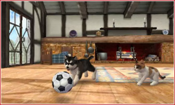 Nintendogs + Cats - 3DS