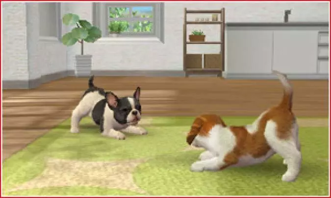 Nintendogs + Cats