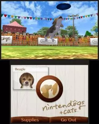 Nintendogs + Cats