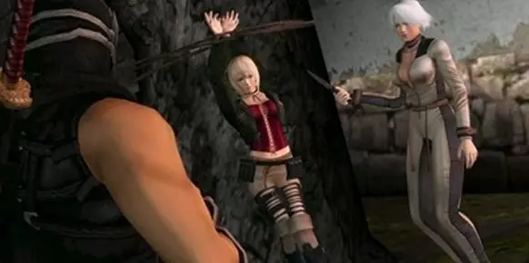 Dead or Alive Dimensions 3DS