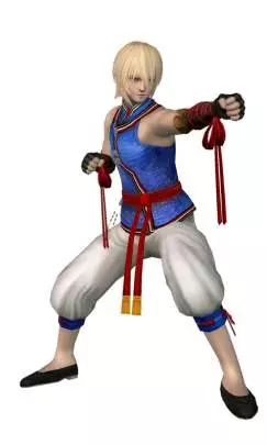 Dead or Alive Dimensions