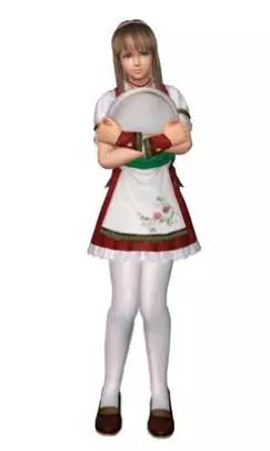 Dead or Alive: Dimensions