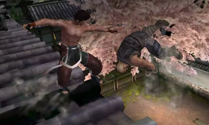 Dead or Alive Dimensions - 3DS