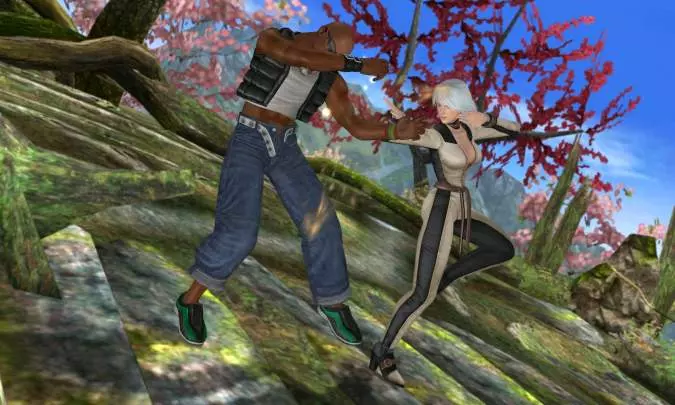 Dead or Alive Dimensions - 3DS