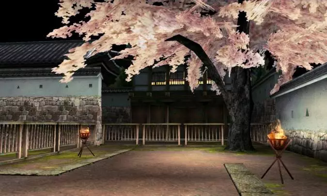 Dead or Alive Dimensions - 3DS