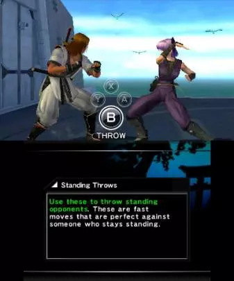 Dead or Alive Dimensions