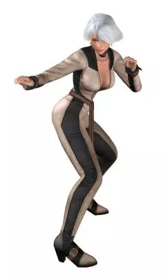 Dead or Alive Dimensions