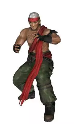 Dead or Alive Dimensions