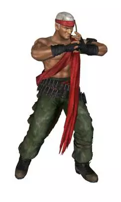 Dead or Alive Dimensions