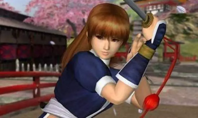 Dead or Alive Dimensions