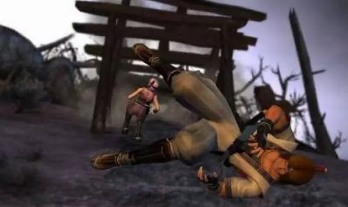 Dead or Alive Dimensions - 3DS