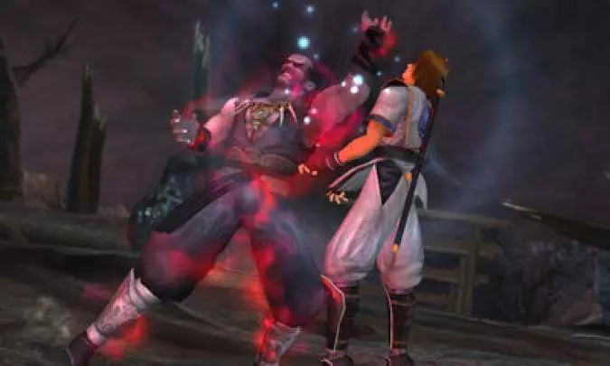 Dead or Alive Dimensions - 3DS