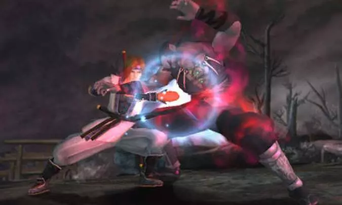 Dead or Alive Dimensions