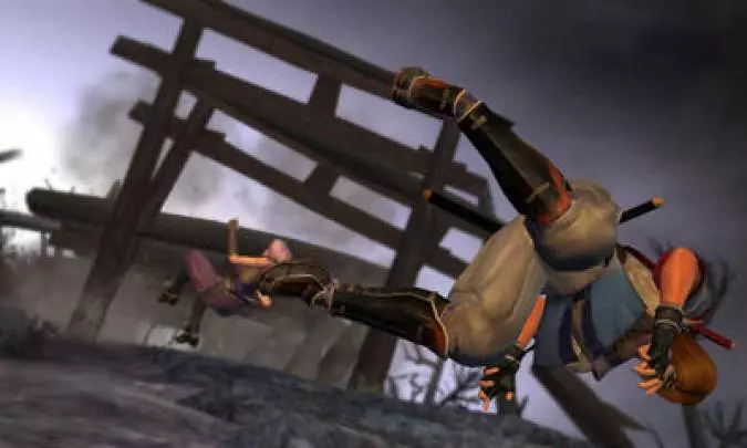 Dead or Alive Dimensions - 3DS