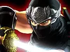 Ninja Gaiden (Nombre temporal)