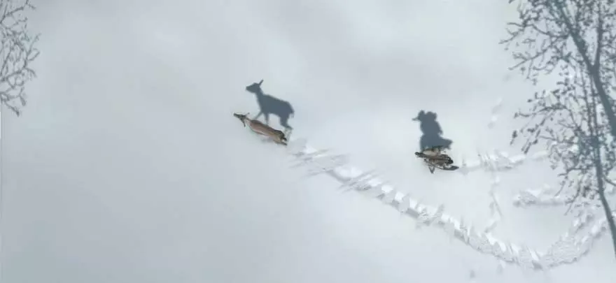 Assassin’s Creed 3