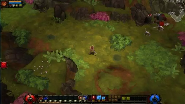 Torchlight II - PC