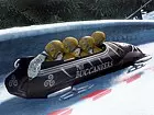 Winter Sports 2011