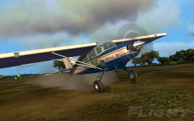 Microsoft Flight - PC