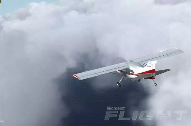 Microsoft Flight - PC