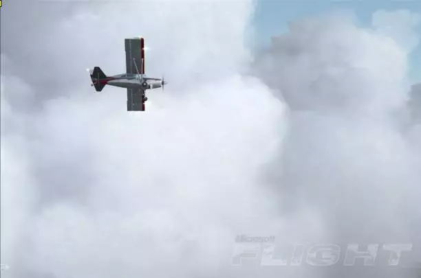 Microsoft Flight