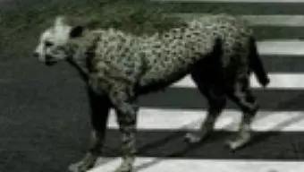 Tokyo Jungle: Trailer oficial