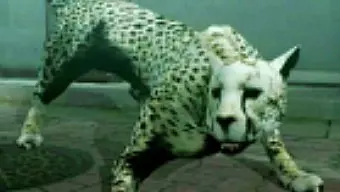 Tokyo Jungle: Trailer Gamescom