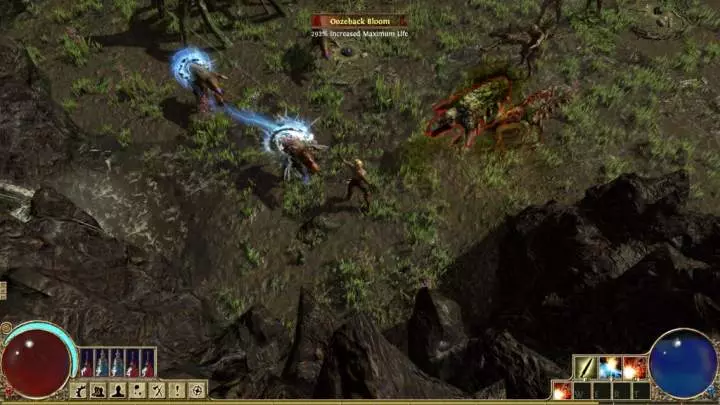 Path of Exile
