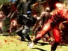 Ninja Gaiden 3 - Imagen