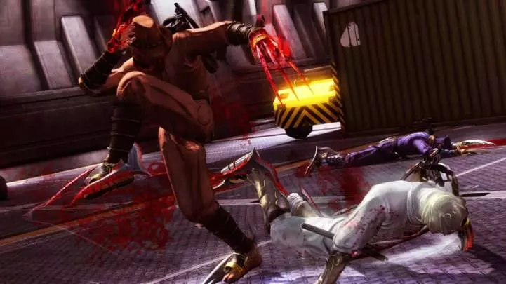Ninja Gaiden 3