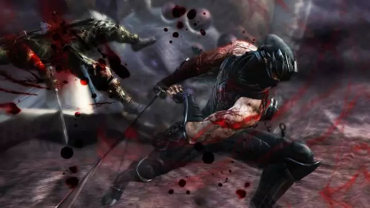Ninja Gaiden 3