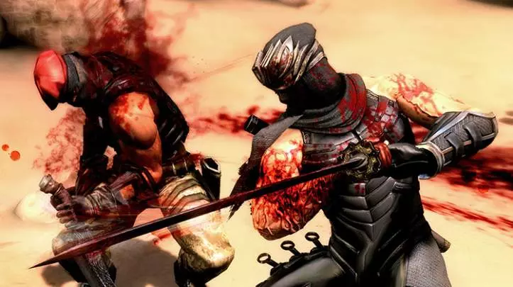 Ninja Gaiden 3