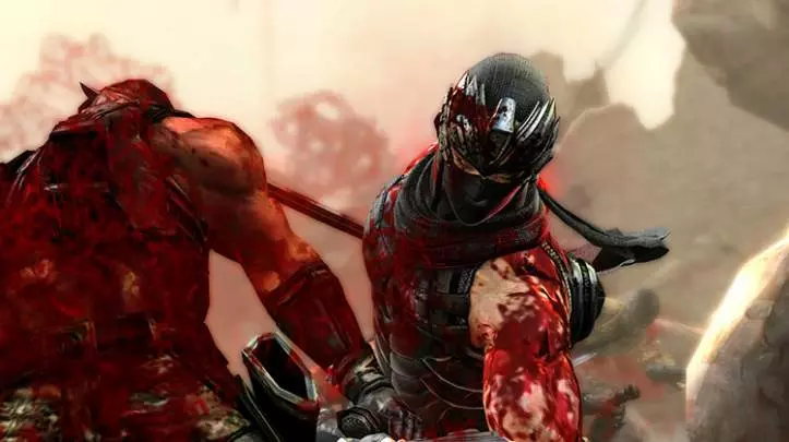 Ninja Gaiden 3