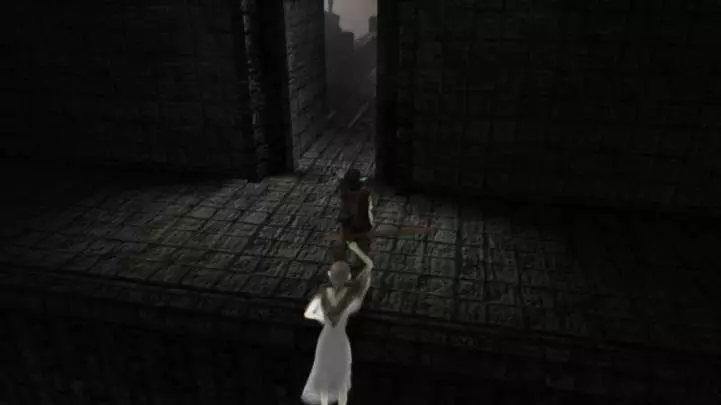 Ico and Shadow of the Colossus